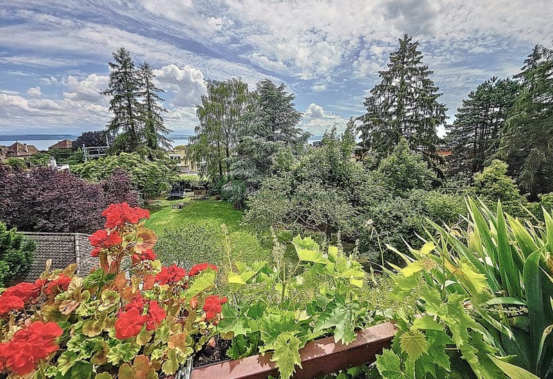garden with lawn, various plants, trees, sea in the background
