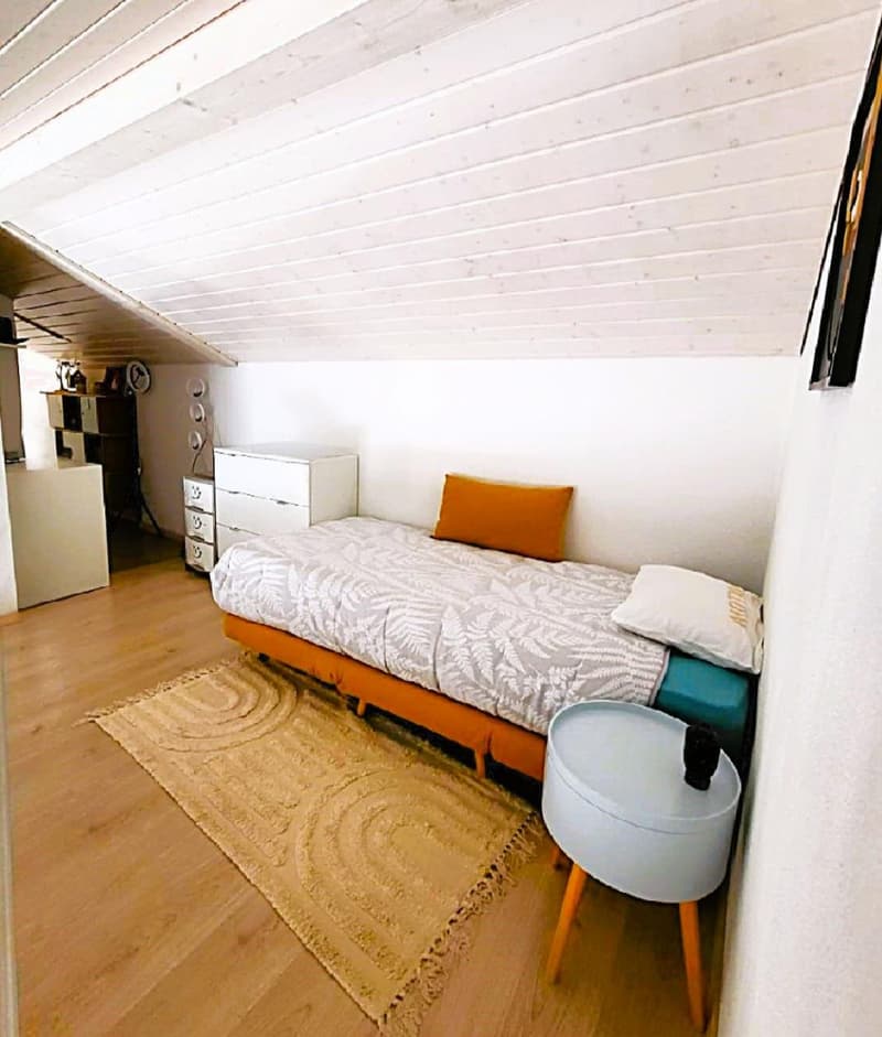 Les Evouettes (VS) - 4 rooms in attic between valley and mountains (8)