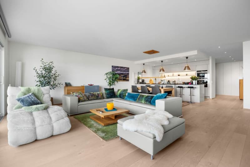 Superbe appartement sur un seul niveau (3)