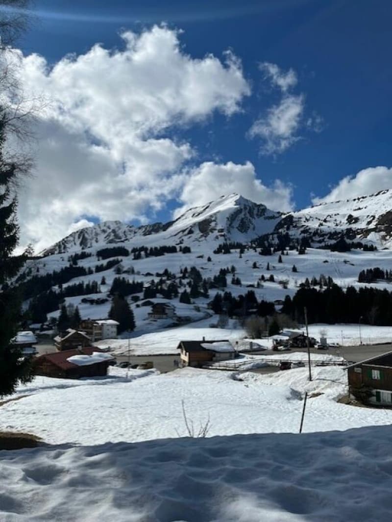 Schönes Chalet mit zwei Wohnungen in PPE (2)