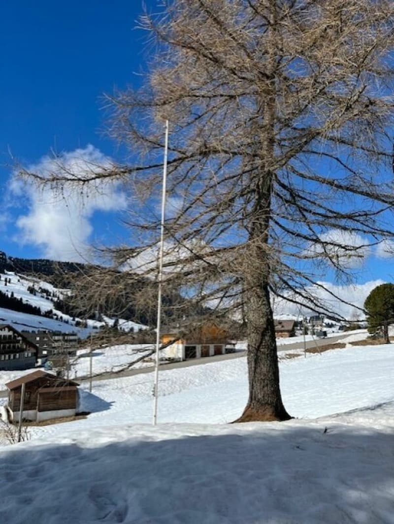 Schönes Chalet mit zwei Wohnungen in PPE (11)