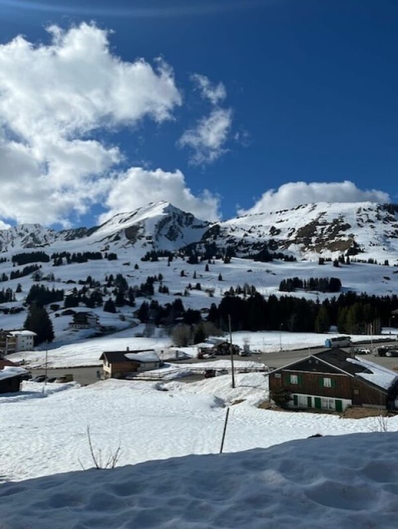 Schönes Chalet mit zwei Wohnungen in PPE (14)
