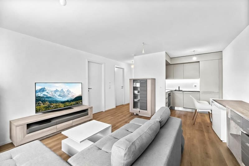2.5 rooms modern in a recent PPE (1)