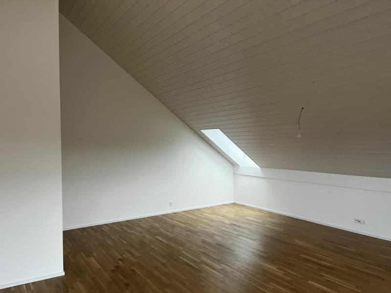 3.5 pièces dans les combles avec balcon et vue dégagée (6)