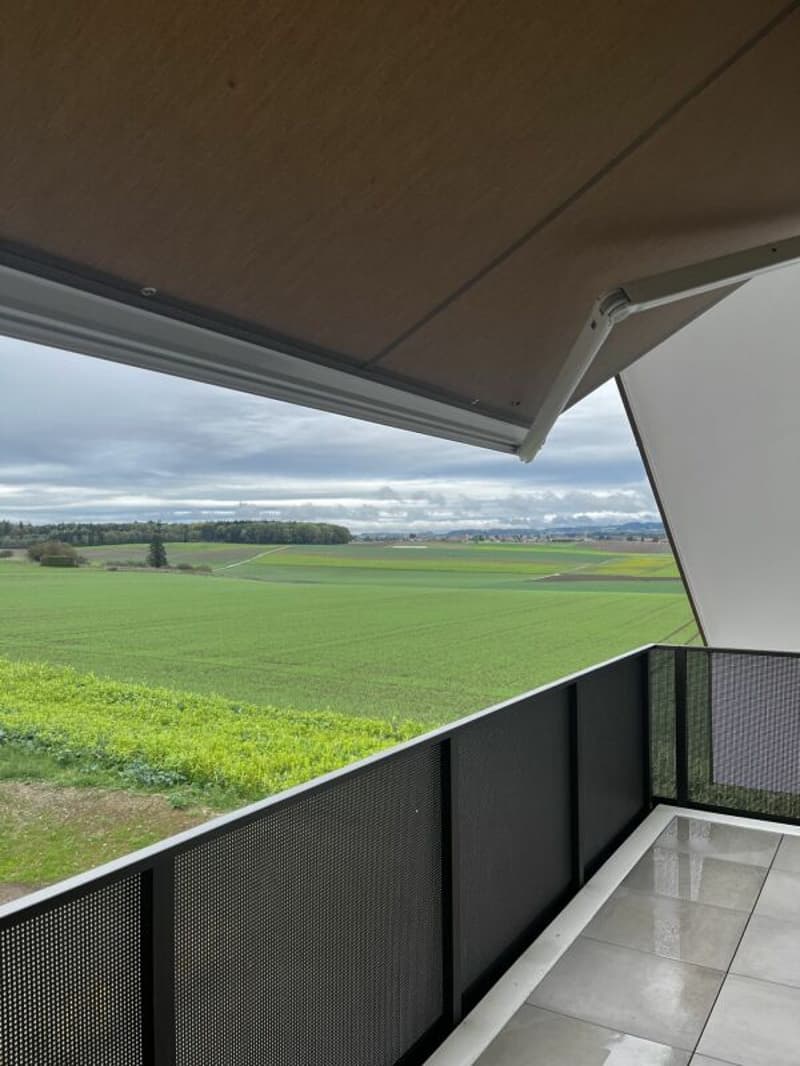 3.5 pièces dans les combles avec balcon et vue dégagée (5)