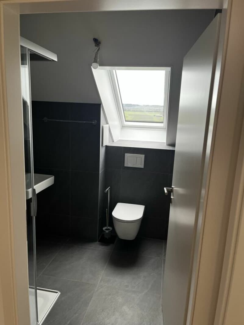 3.5 pièces dans les combles avec balcon et vue dégagée (9)