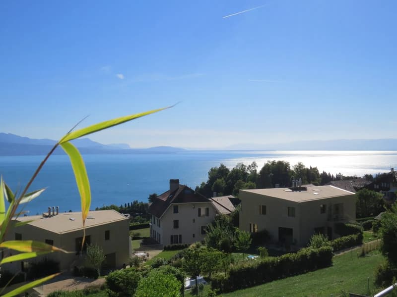 hillside homes with view of lake and mountains