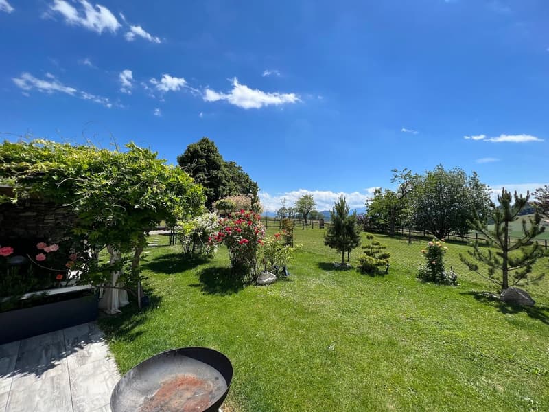 A spacious and well-maintained garden featuring a variety of plants, including flowers, shrubs, and trees. The garden is fenced, and there is a large open area with a fire pit in the center. The garden is well-lit and features a blue sky in the background