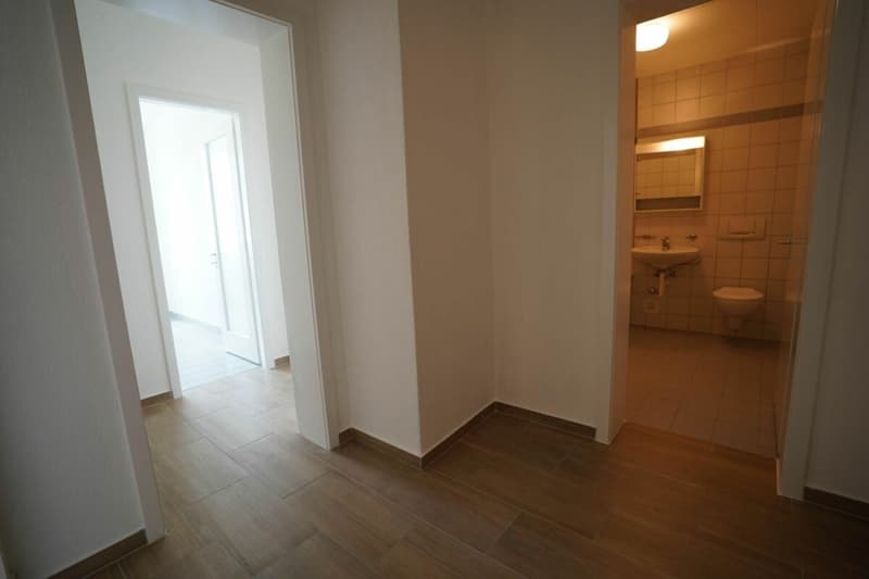 Apartment 2.5 rooms in Fribourg (3)