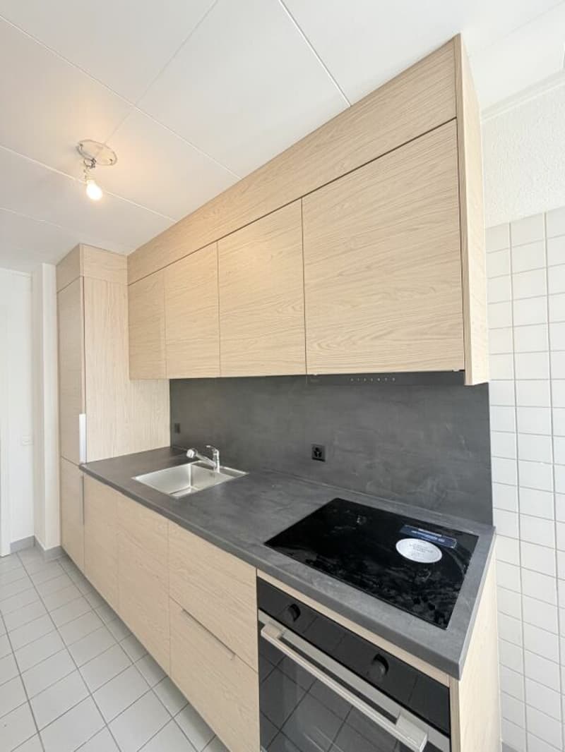 Großes 3.5-Zimmer-Apartment zur Miete - 1700 Freiburg Kopie (9)
