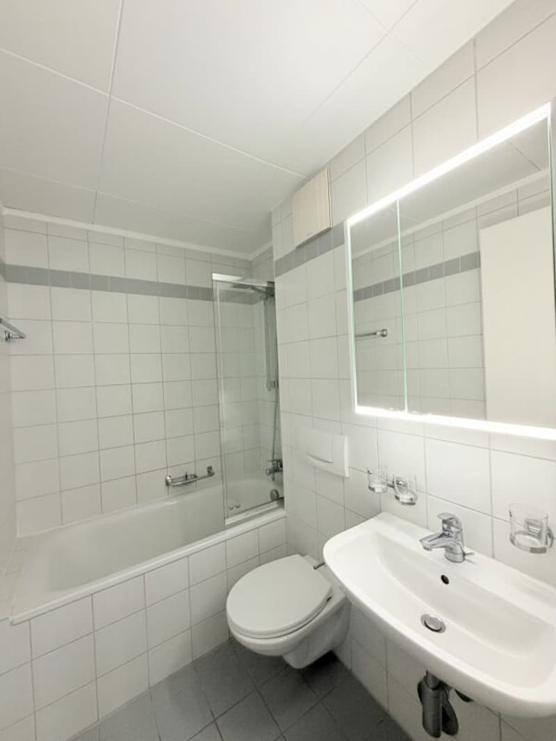Großes 3.5-Zimmer-Apartment zur Miete - 1700 Freiburg Kopie (7)