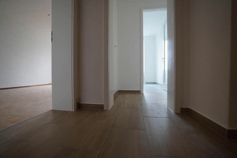 Appartamento 2.5 locali a Friburgo copia (1)