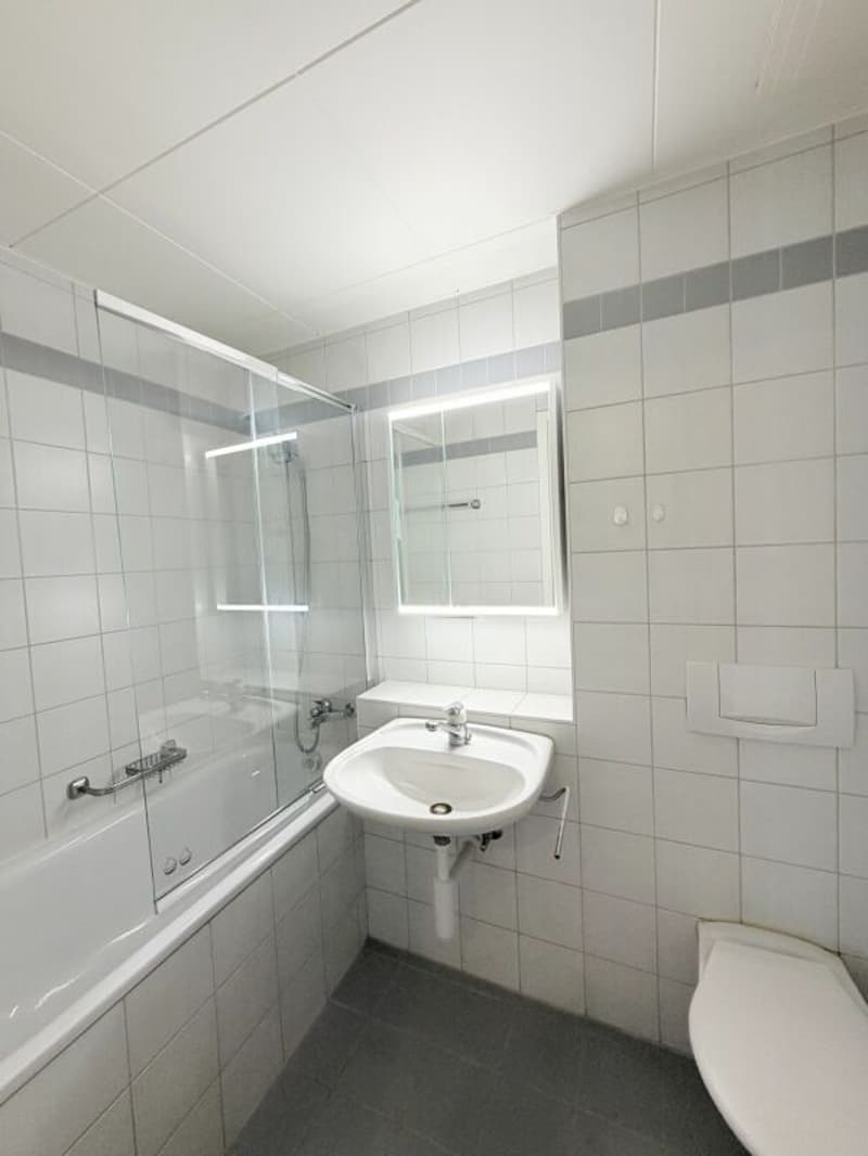 Wohnung 3.5 - zur Miete - 1700 Freiburg (3)