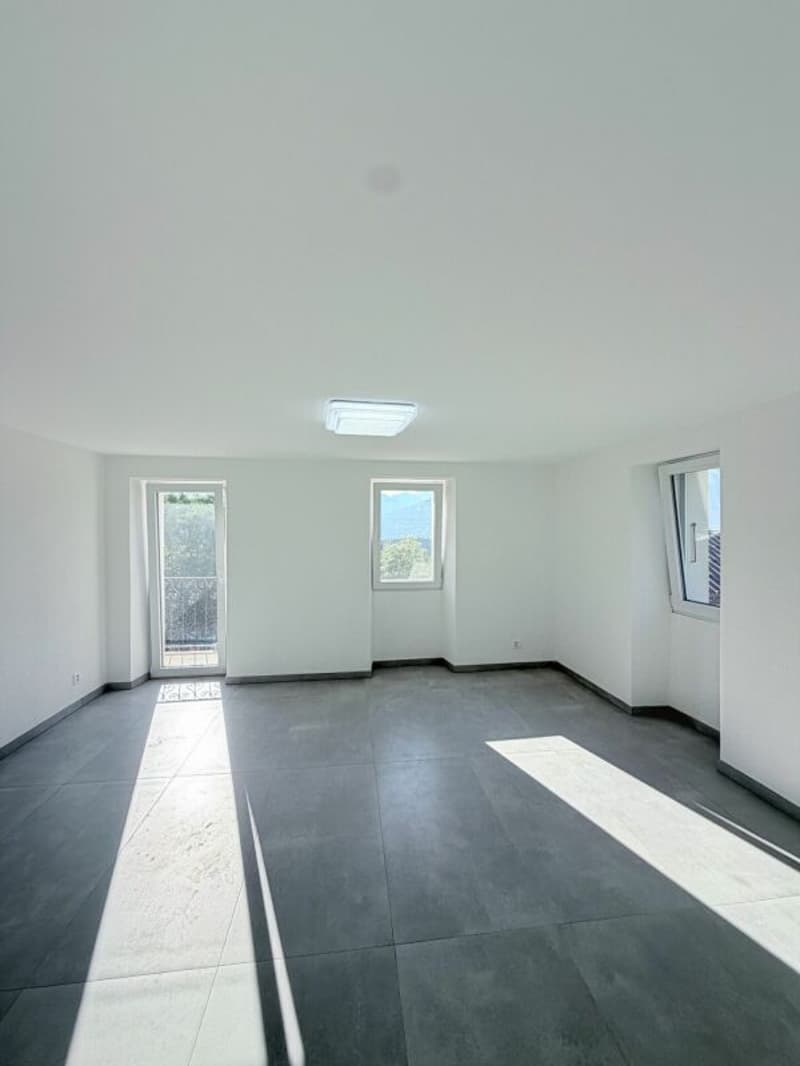 Daillon - Immeuble de charme avec un taux de rendement net à 4.36% - à vendre (20)