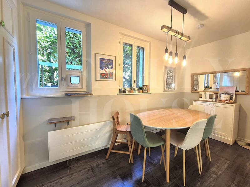 Very beautiful apartment located in the heart of the hamlet of Villette (4)