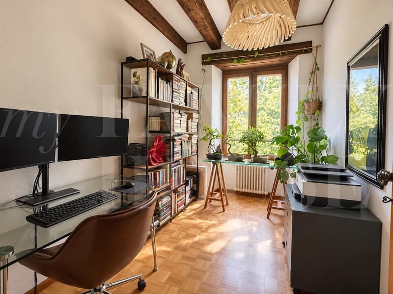 Spacieux appartement dans une magnifique propriété (9)