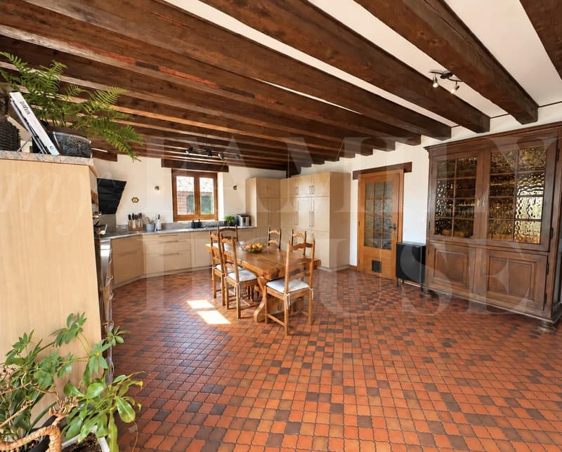 Spacieux appartement dans une magnifique propriété (3)