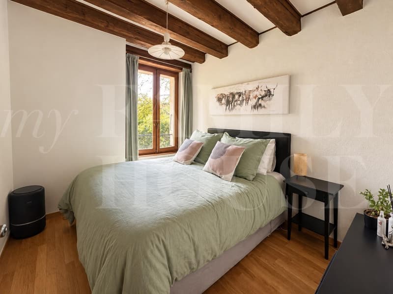 Spacieux appartement dans une magnifique propriété (8)