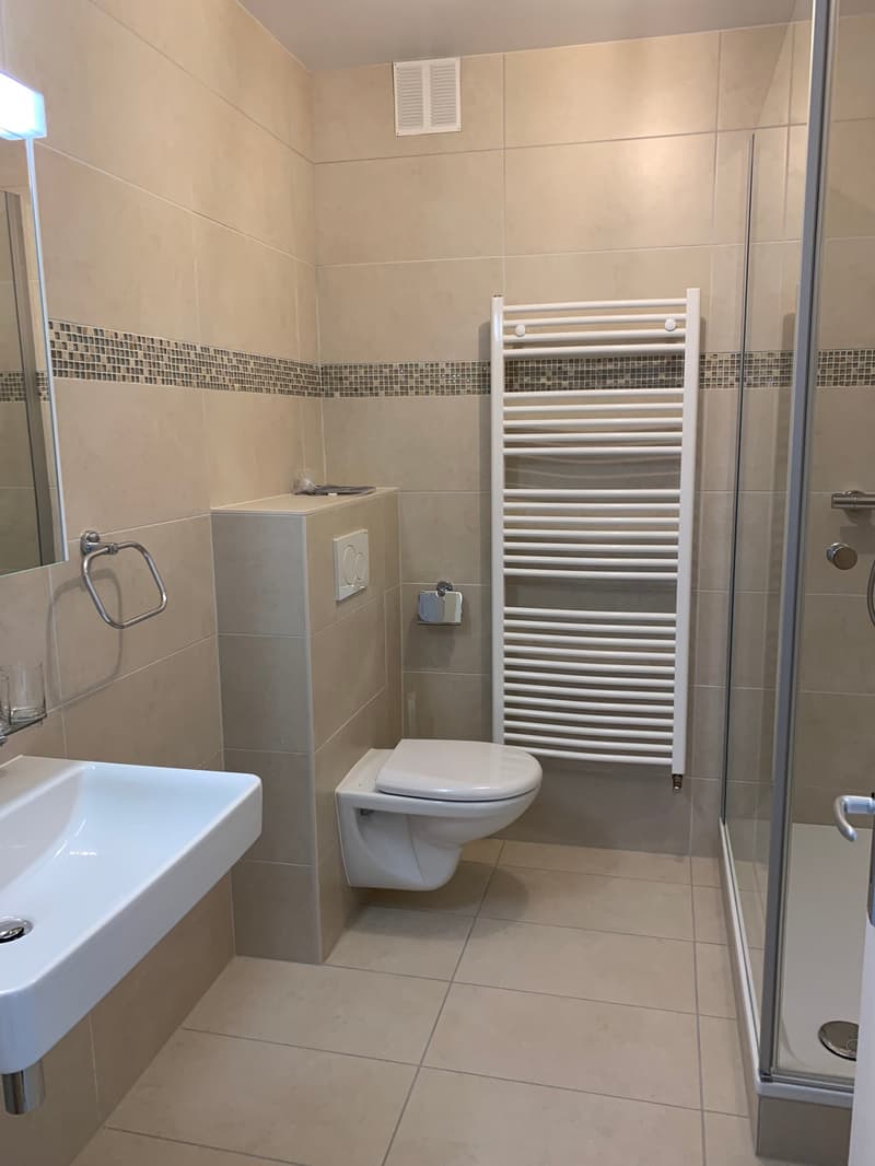 EXCLUSIVE - Magnificent Bright 5.5-Room Apartment (11)