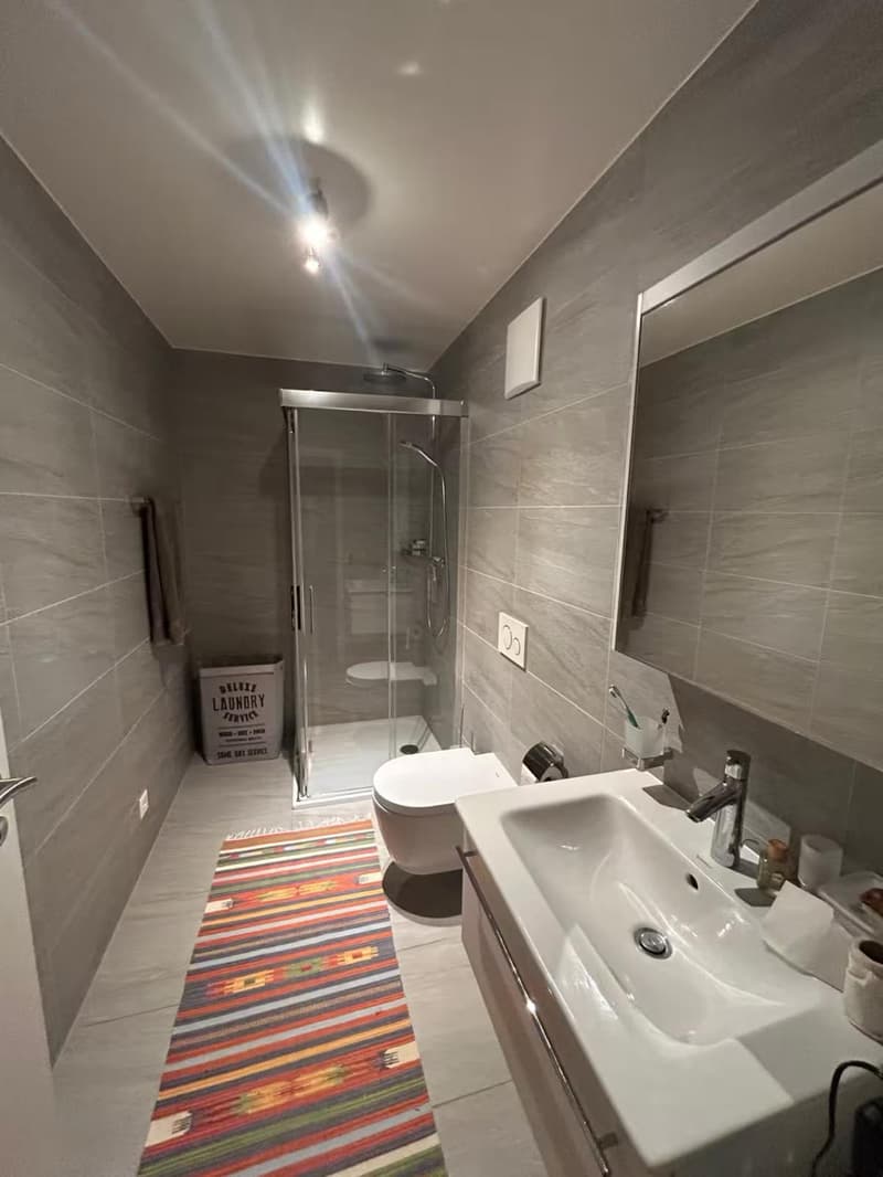 Magnifique appartement de 4 pièces meublé à louer à Bassins (11)