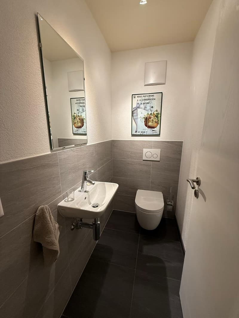 Magnifique appartement de 4 pièces meublé à louer à Bassins (12)