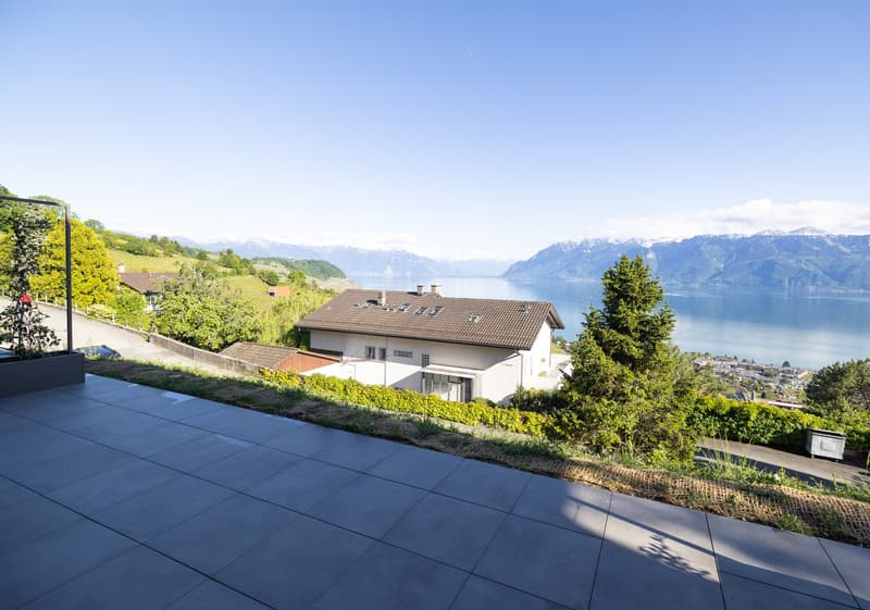 More than one available plot, villa in Grandvaux (3)