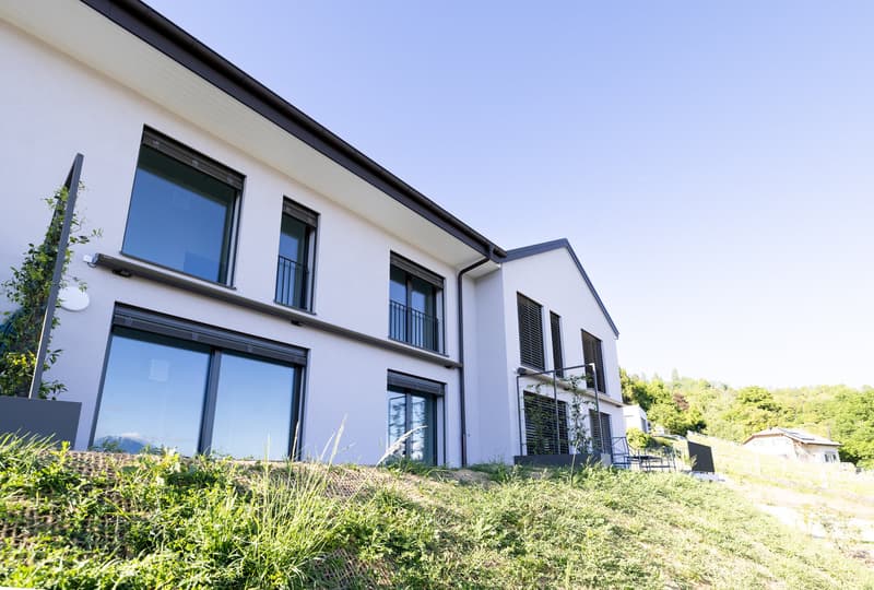 More than one available plot, villa in Grandvaux (5)