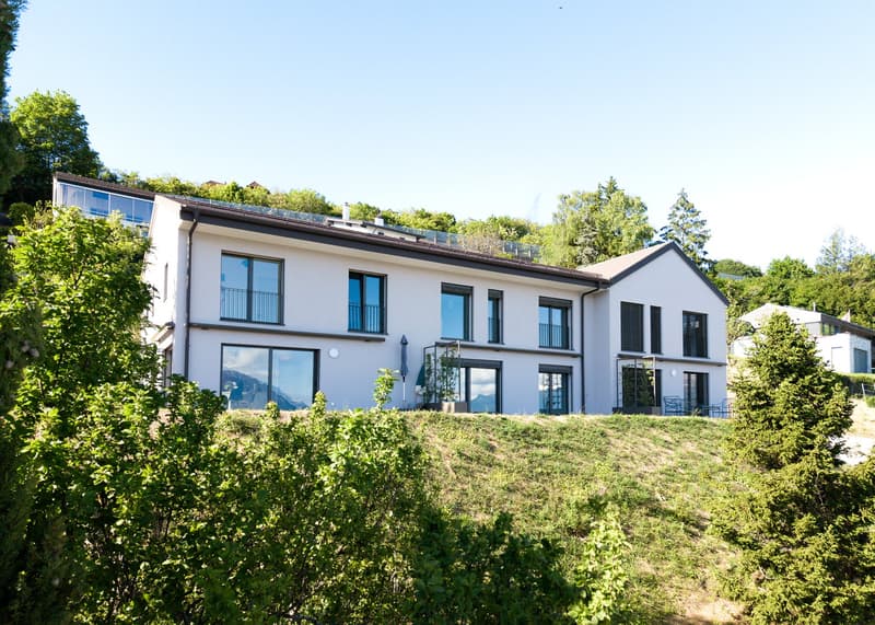 More than one available plot, villa in Grandvaux (4)