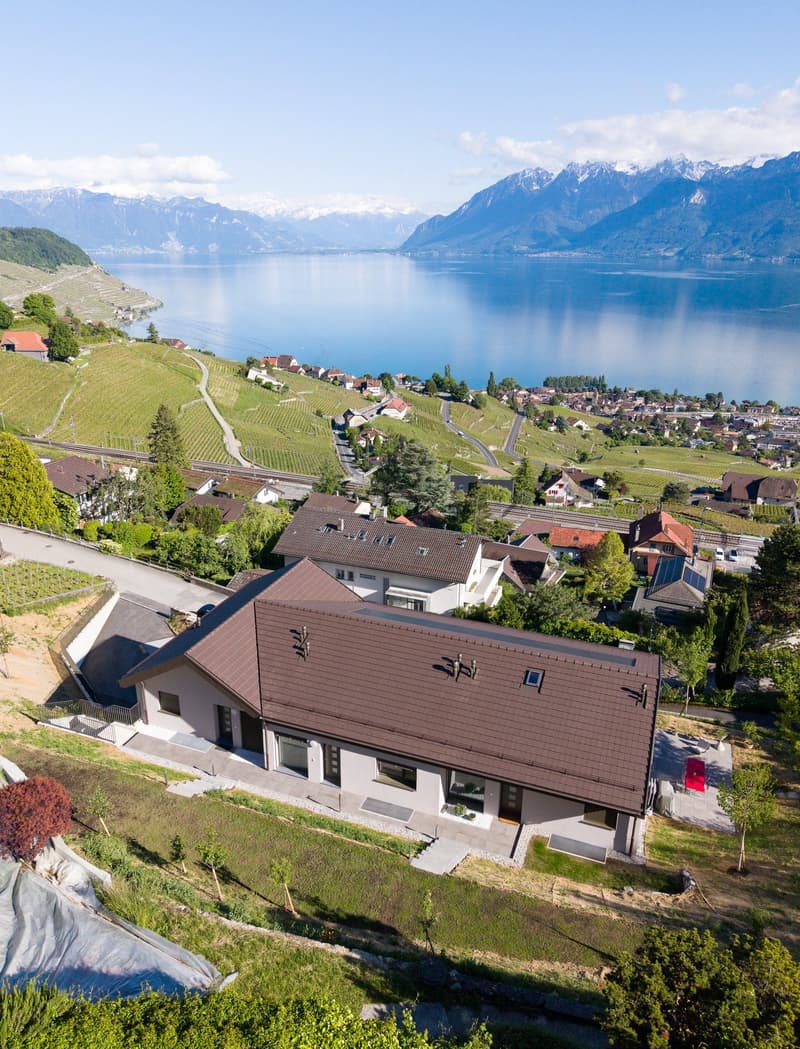 More than one available plot, villa in Grandvaux (2)
