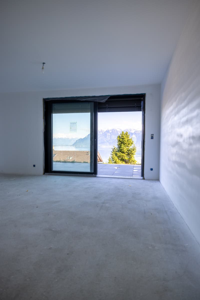 More than one available plot, villa in Grandvaux (7)