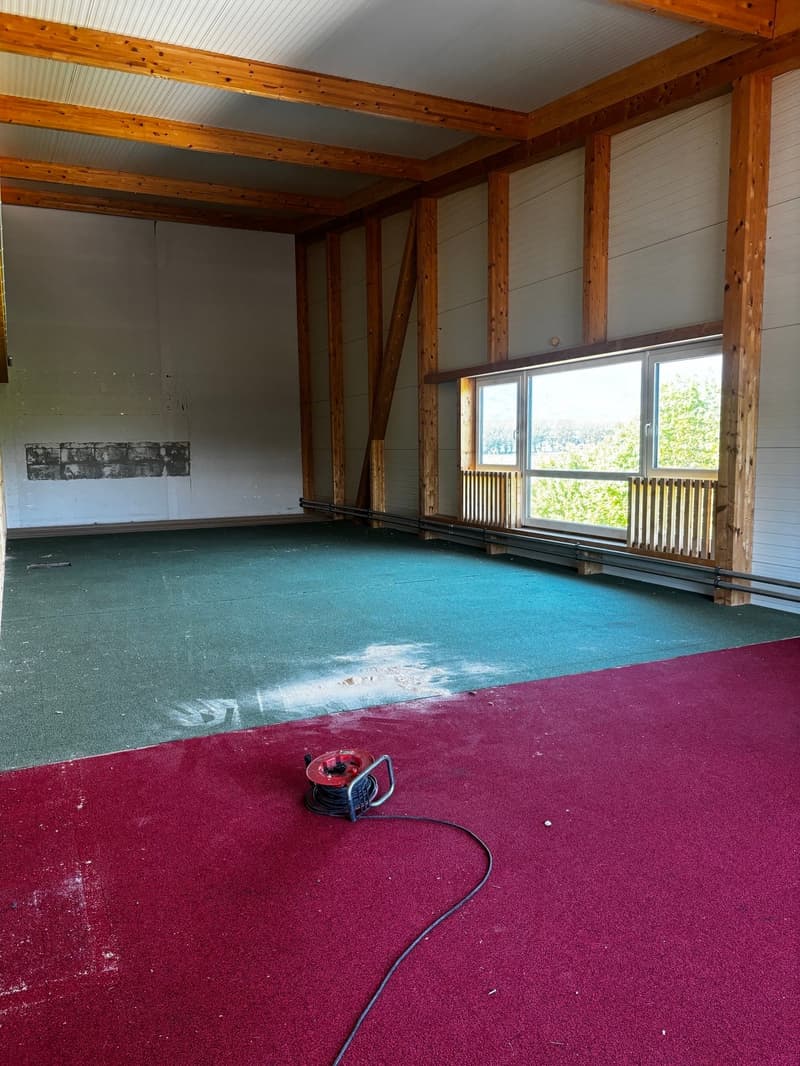 large room, wooden beams, white walls, green and red carpet, large window
