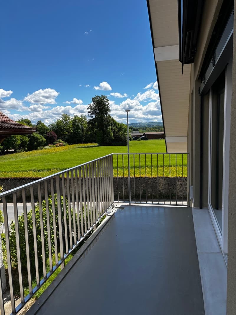New 3.5-room apartment in Mathod (1)