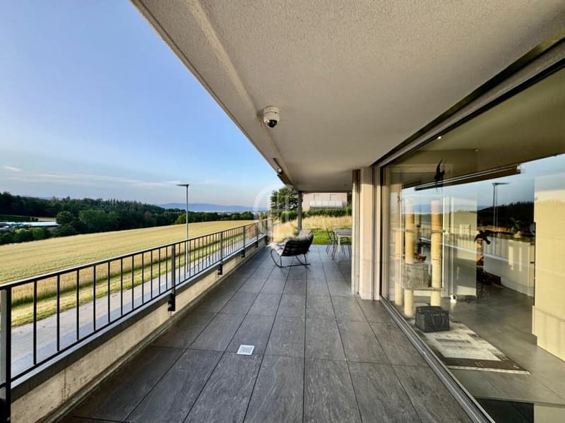 Villa d'architecte 4.5 pièces à Seiry (Lully) (8)