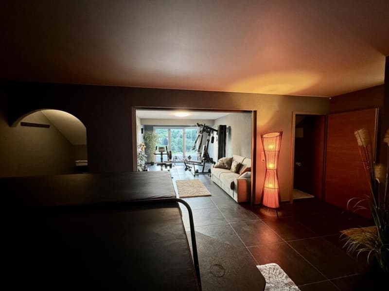 Villa d'architecte 4.5 pièces à Seiry (Lully) (19)
