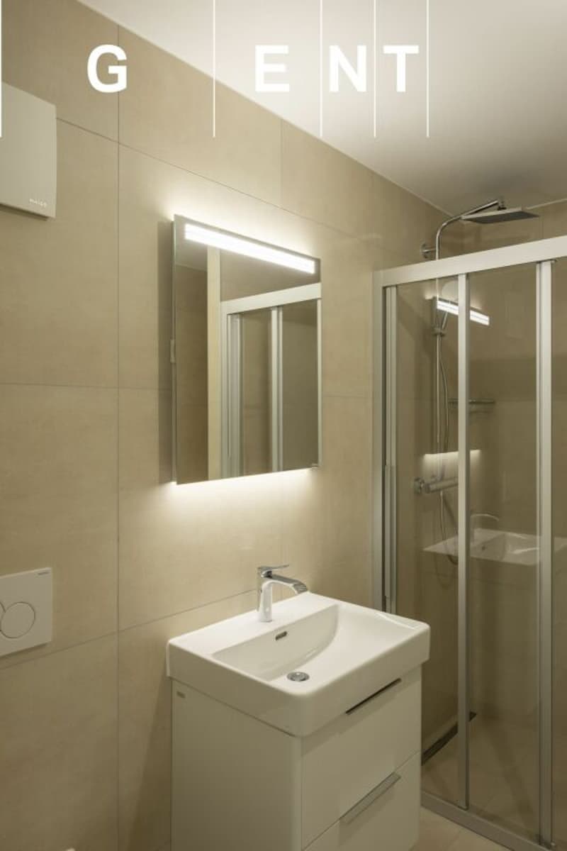 2.5-room apartment (10)
