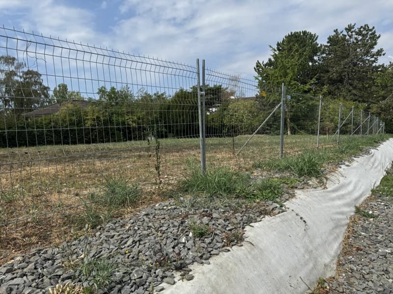 Baugrundstück mit Baugenehmigung (1)