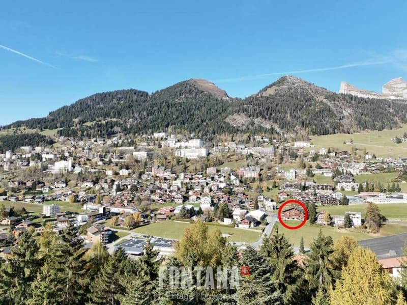 Appartamento 4.5 locali a Leysin (24)