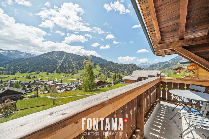 Multi-family chalet of character (29)