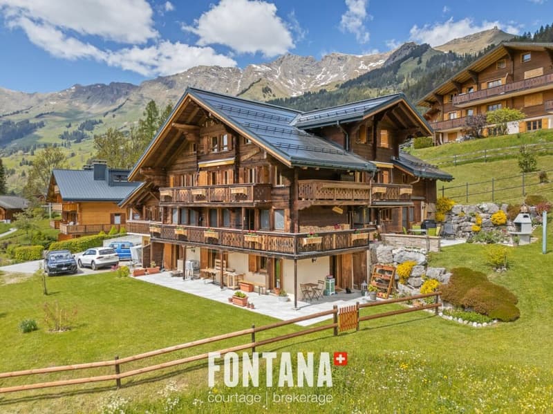 Multi-family chalet of character (31)