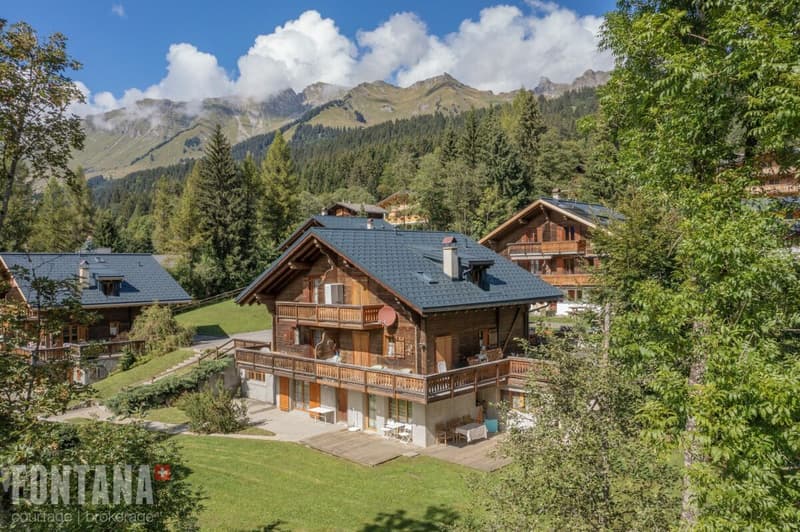 Half-chalet in triplex - La Marchande 2D, PPE Les Parchets (1)