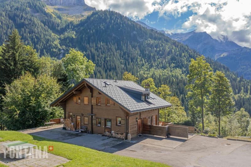 Half-chalet in triplex - La Marchande 2D, PPE Les Parchets (14)