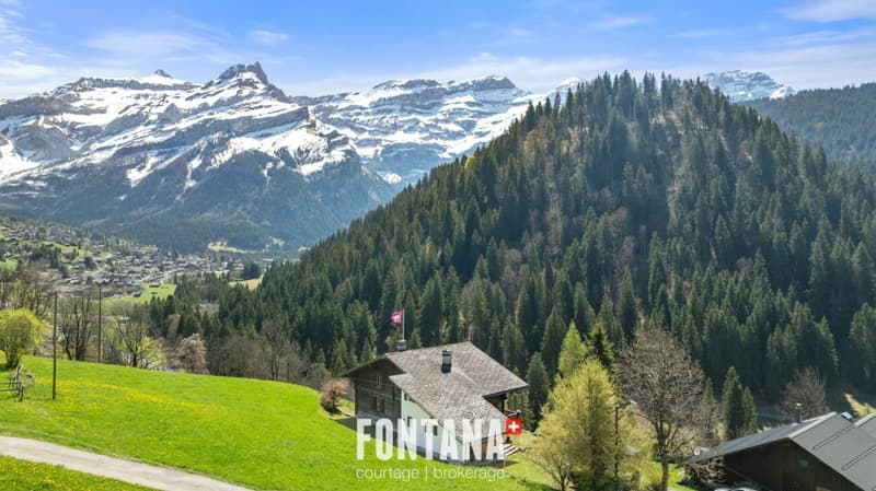 alpine chalet (34)
