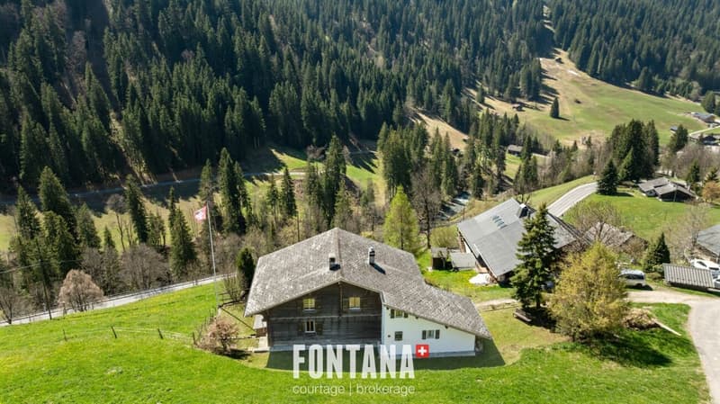 alpine chalet (37)