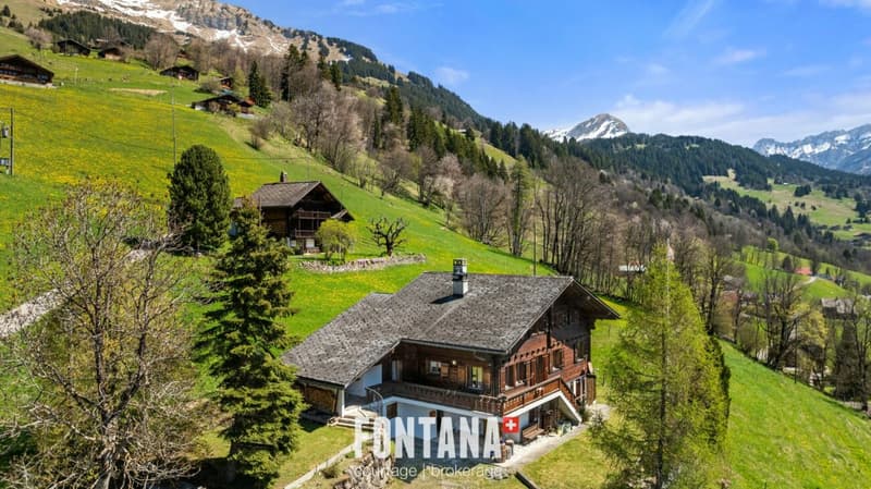 alpine chalet (40)