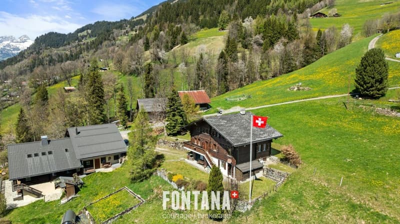 alpine chalet (38)