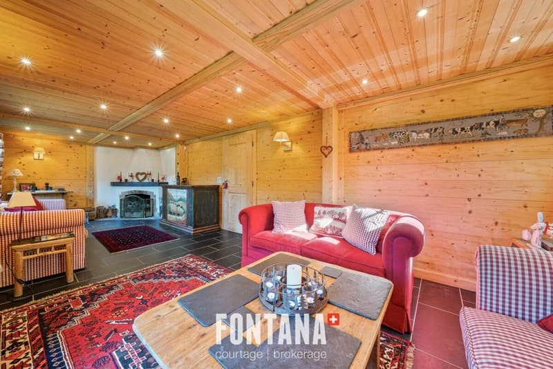 Exceptional chalet and privileged location (9)