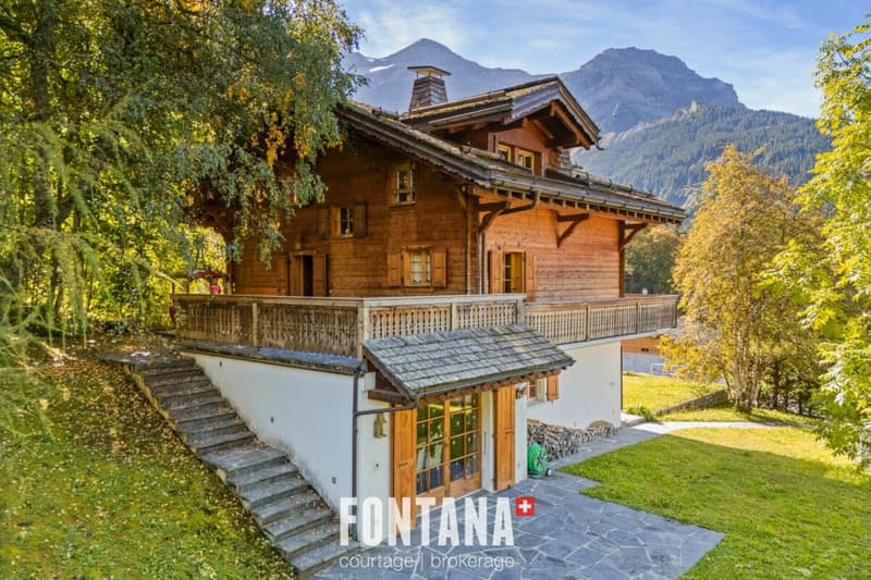 Exceptional chalet and privileged location (20)