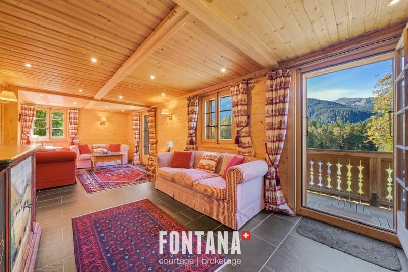 Exceptional chalet and privileged location (8)