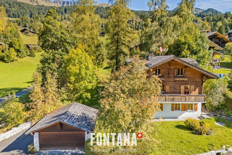 Exceptional chalet and privileged location (18)