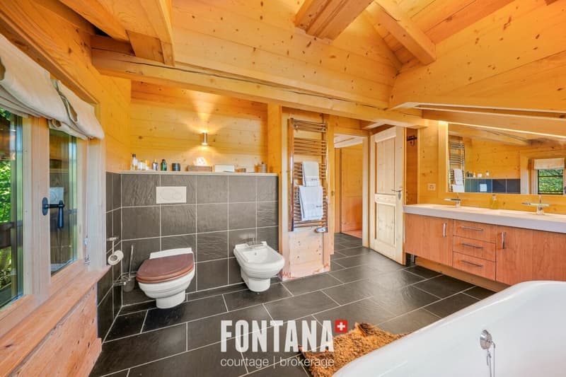 Exceptional chalet and privileged location (17)